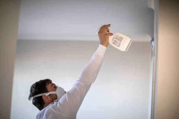 Best Office Mold Removal Services  in Belmont, MS