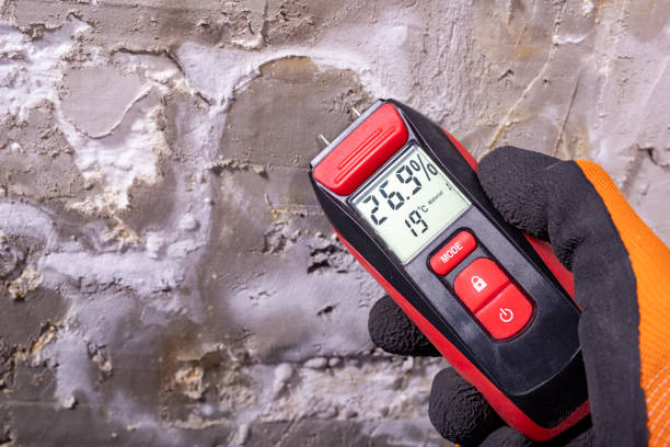 Best Residential Mold Removal  in Belmont, MS
