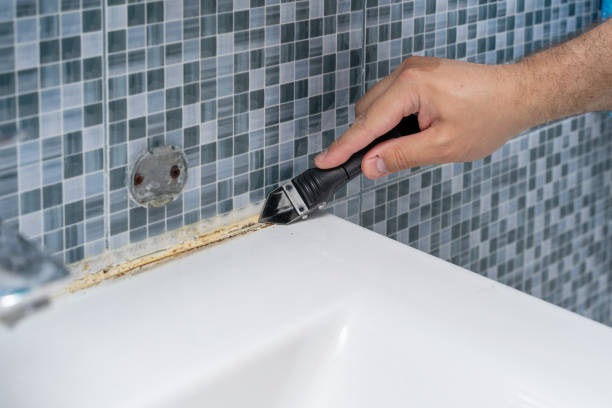 Best Mold Removal Specialists  in Belmont, MS