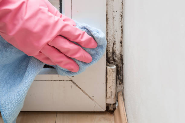 Water Damage Restoration in Belmont, MS